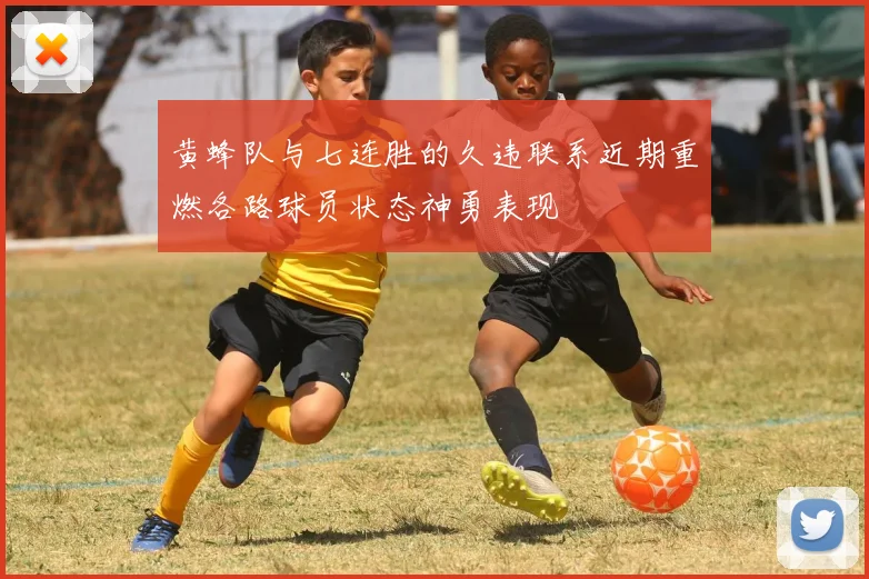 黄蜂队与七连胜的久违联系近期重燃各路球员状态神勇表现