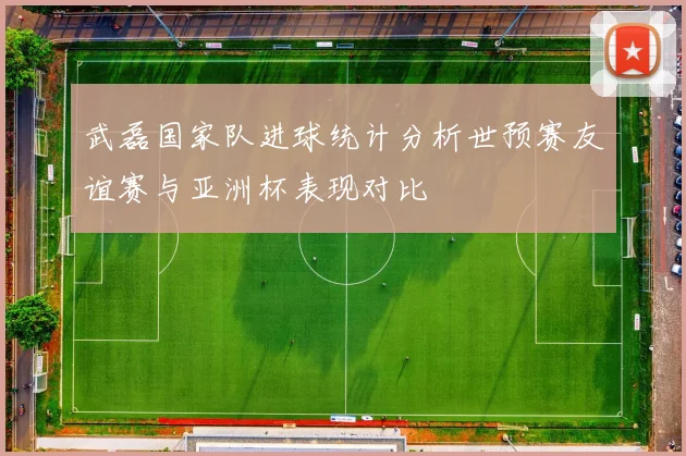 武磊国家队进球统计分析世预赛友谊赛与亚洲杯表现对比