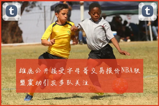 雄鹿公开接受字母哥交易报价NBA联盟震动引发多队关注