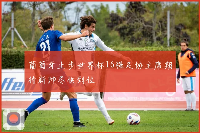 葡萄牙止步世界杯16强足协主席期待新帅尽快到位